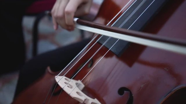 woman playing cello at a wedding