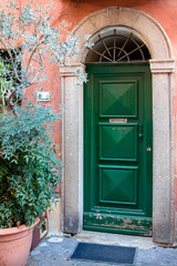 Fototapeta na wymiar Retro wooden door outside old Italian house in a Rome, Italy. Plants decorations, vintage.