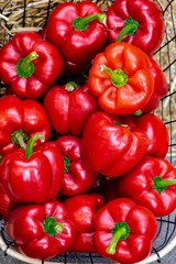 Hochkant Nahaufnahme eines Marktstandes mit roten Paprikaschoten