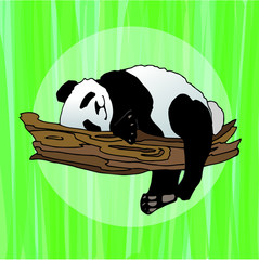 Vector illustration of a panda on a background of green bamboos. You can use for the design of postcards, notebooks, children's books and more