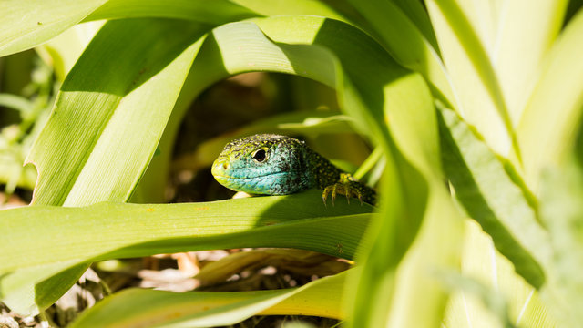 On joue &agrave; cache-cache ?