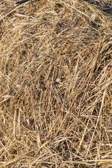 Background of dry grass in a haystack in a summer garden, landscape design and gardening