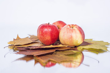 Naklejka na ściany i meble Three apples on table with reflection. Autumn abstract photo