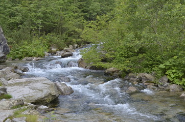 Górski potok - Mountain stream
