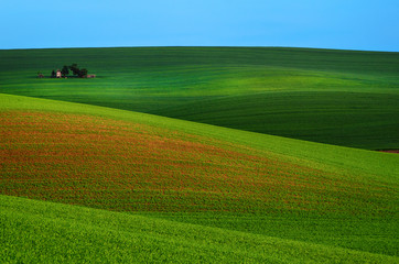 Rural landscape with green field, blue sky and wooden hunting shack , South Moravia, Czech Republic