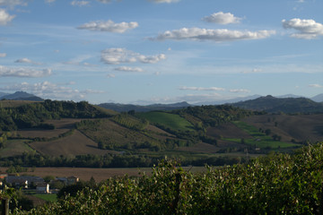 Fototapeta premium view of rural landscape,countryside,hills,nature,field,crops,horizon,blue sky,clouds,view,panoramic