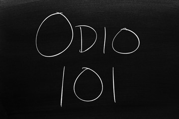 The words Odio 101 on a blackboard in chalk.  Translation: Hate 101