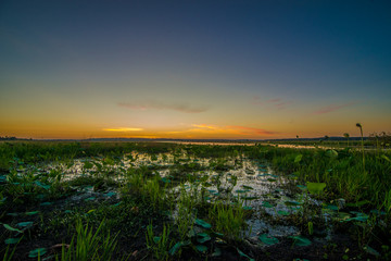 Fototapeta na wymiar swamp sunrise