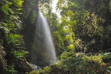 Los Tilos Waterfall in La Palma, Canary Islands - obrazy, fototapety, plakaty