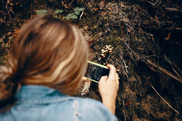 Rear view of female holding smart phone and taking picture of mushrooms growing in forest. Back portrait of unrecognizable woman in denim jacket snapping photo using mobile during trekking in woods