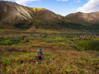 Fototapeta na wymiar Backpacker in the Tundra, Mountains and Valley, Alaska in Autumn