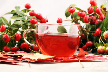 Tea. cup of herbal Dog rose tea with bunch branch Rosehips, types Rosa canina hips. Medicinal plants and herbs composition.