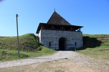 Fototapeta premium Hotyn сactle