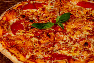 Vegetarian Pizza Margarita