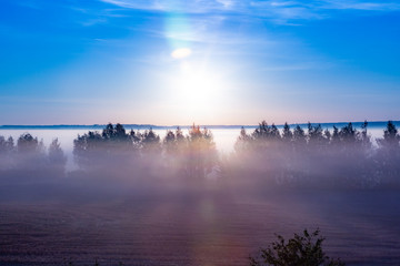 Landscape sunrise at summer. Foggy morning on meadow. Filtered image: cross processed effect. beautiful misty sunrise landscape.