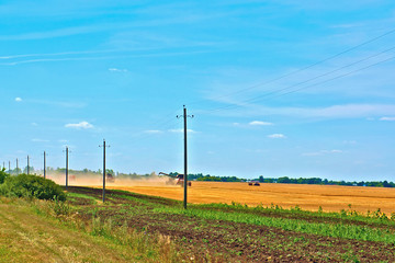 Power line at the edge of the field, where the harvest of mature wheat is harvested.