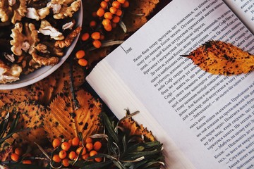 Naklejka na ściany i meble Autumn composition with a book