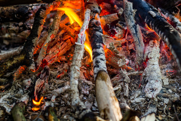 Campfire in the forest, close
