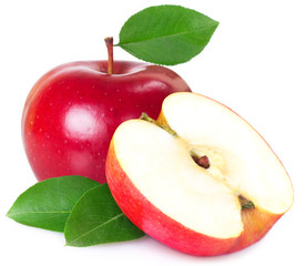 Red apple on white background