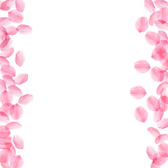 Obraz premium Sakura petals falling down. Romantic pink silky big flowers. Thick flying cherry petals. Messy borde