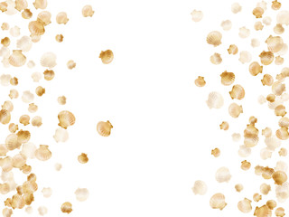Gold seashells vector, golden pearl bivalved mollusks.
