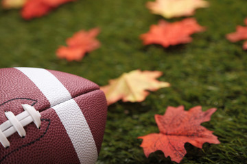 American football on grass next to some autumn fallen maple leaves (focus on the ball)