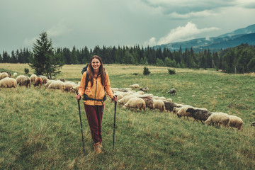 Cheerful nice smiling woman using Nordic walking sticks while standing near herd of sheep in the...