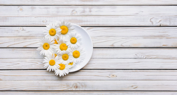 Fototapeta White saucer with chamomile flowers on vintage gray wooden table. Top view, copy space.