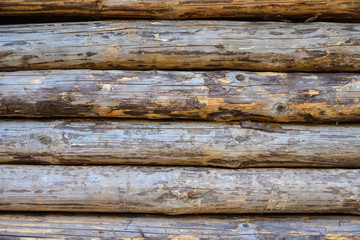 Background of logs