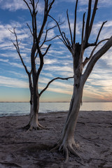 Entardecer no lago Epecuen - Argentina 