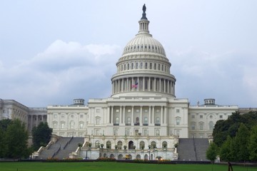 united states capitol building in washington dc