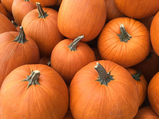 Pumpkins For Sale At Patch 