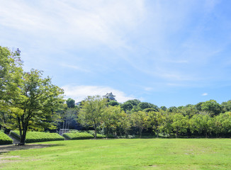 Fototapeta na wymiar 浜松城公園の中央芝生広場（静岡県浜松市中区）