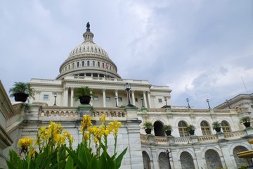 united states capitol building in washington dc