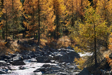 Beautiful alpine autumn landscape.