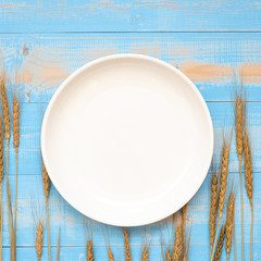 blank white dish and Wheat ears grain on blue wooden background. World Food Day Concept (October 16), Top view and Copy space for your text