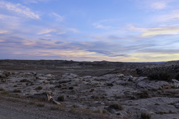 Sun setting on the Utah desert