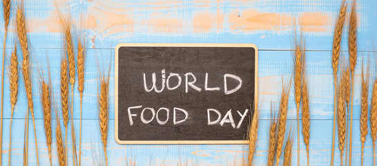 Obraz premium World Food Day Concept (October 16), Black chalkboard with handwritten words and Wheat ears grain on blue wooden background. Top view and Copy space for your text