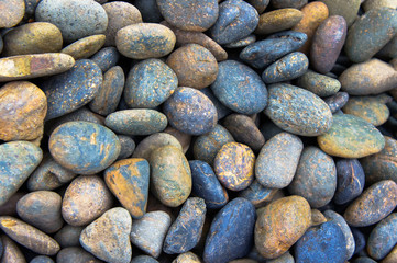 Colorful sea pebble from beach. For background stones or floor texture.