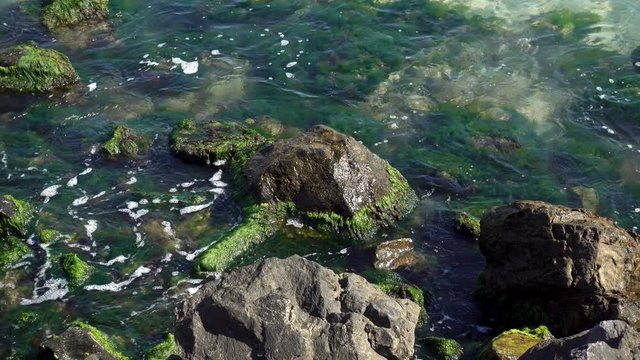4K view of sea wave washing the stone reef, covered with algae.