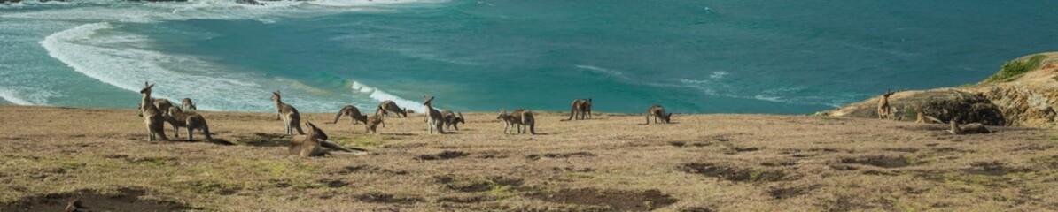 Now you see me Headland