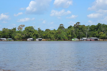 Black river in Amazonas, Brazil. A giant river it seems a sea. Used to fish, navigate, play, feed local people who live on the coastline. The river has black colour due to algae decomposition