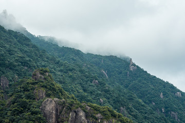 Obraz premium forest covered mountain slop under heavy cloud