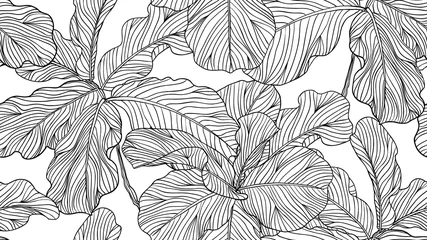 Selbstklebende Fototapeten Floral seamless pattern, black and white fiddle leaf fig on white background, line art ink drawing © momosama