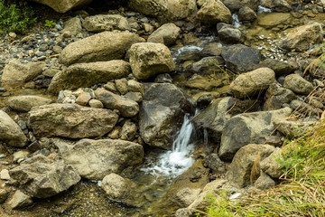 water in the stream rushing down the rocky creek covered in green
