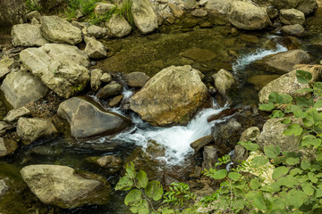 water in the stream rushing down the rocky creek covered in green