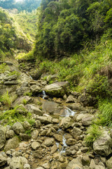 water in the stream rushing down the rocky creek covered in green from mountain top.