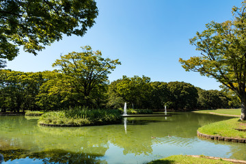 (東京都ｰ都市風景)晩夏の代々木公園１