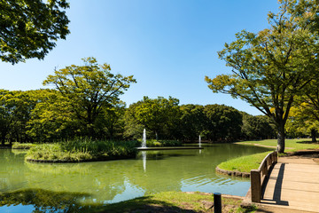 (東京都ｰ都市風景)晩夏の代々木公園２