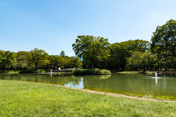 (東京都ｰ都市風景)晩夏の代々木公園３